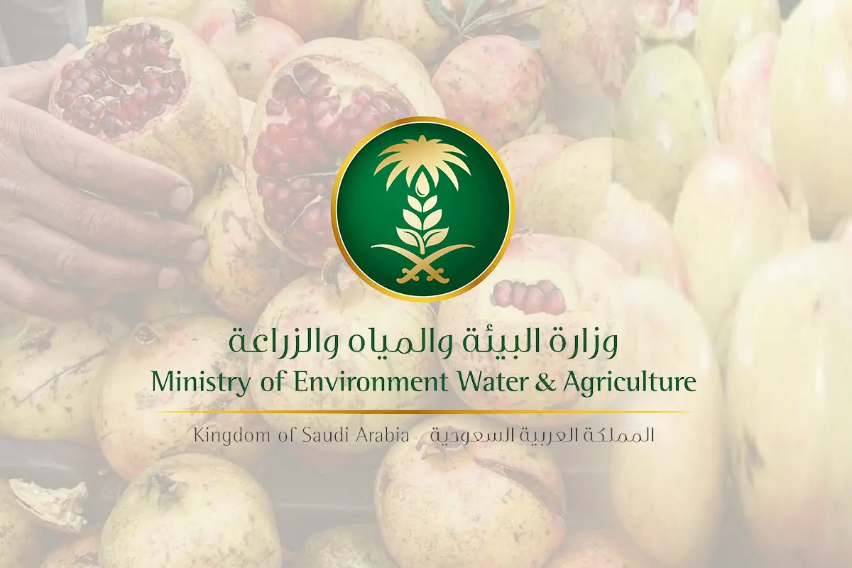 “وزارة الزراعة” تحدد شروط دعم المواشي 1446 وخطوات التقديم عليه