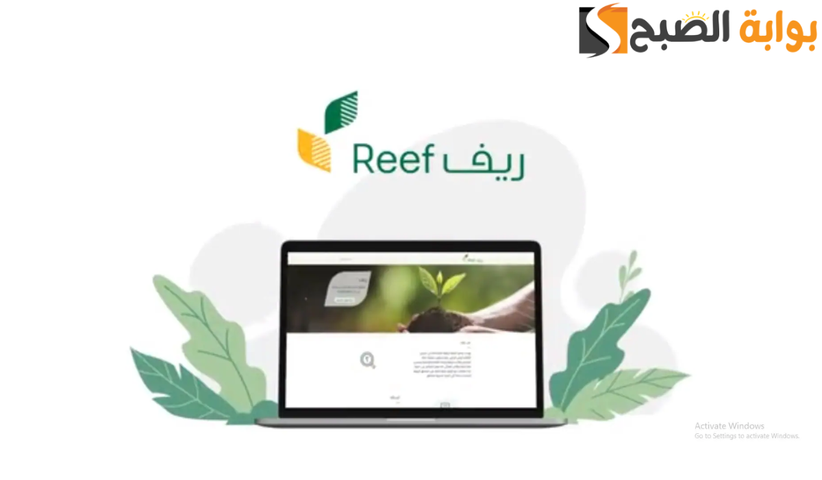 شروط الحصول على دعم ريف وخطوات التسجيل الالكتروني