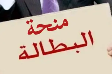 الحق سجل.. الوكالة الوطنية للتشغيل توضح عن شروط منحة البطالة الجزائر 2024