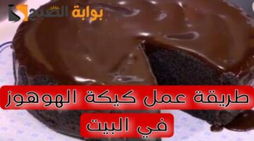 طريقة عمل كيكة الهوهوز في البيت