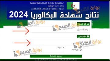 عاجل رابط الاستعلام عن نتائج البكالوريا الجزائر 2024 bem.onec
