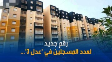 عدد المسجلين في عدل 3 1