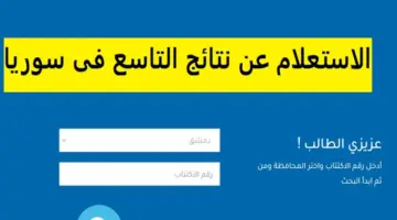 ف 800x500 1