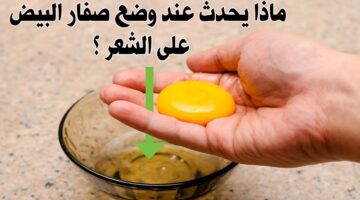 فوائد البيض للشعر 1