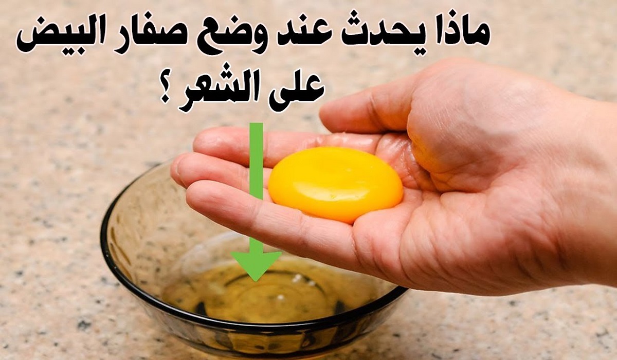 بأقل المكونات وبدون تكلفة اعرفي فوائد البيض للشعر التي لا تُحصى
