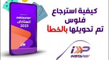 كيف استرد أموالي بعد تحويلها بالخطأ عن طريق انستا باي