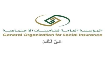 بعد قرار مجلس الوزراء.. كيفية توزيع المعاش بين الورثة في نظام التأمينات الاجتماعية الجديد؟