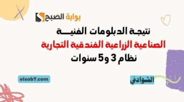 لينك نتيجة الدبلومات الفنية 2024 1