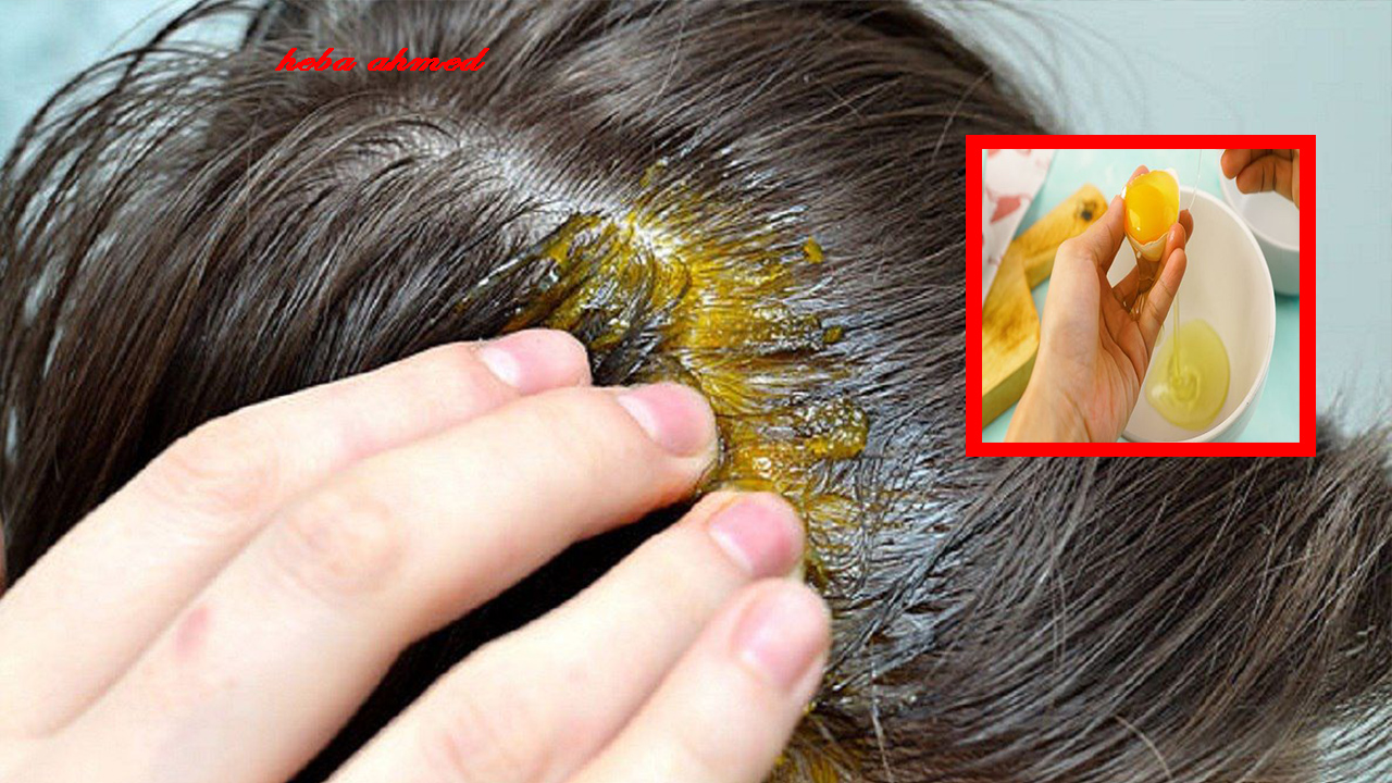 تطويل الشعر بالبيض… طريقة استخدامه في إطالة الشعر وجعله ناعم كالحرير