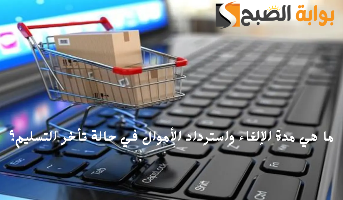 وزارة التجارة توضح مدة الإلغاء واسترداد الأموال عند تأخير تسليم المنتجات