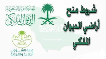 منحة ارض الديوان الملكي