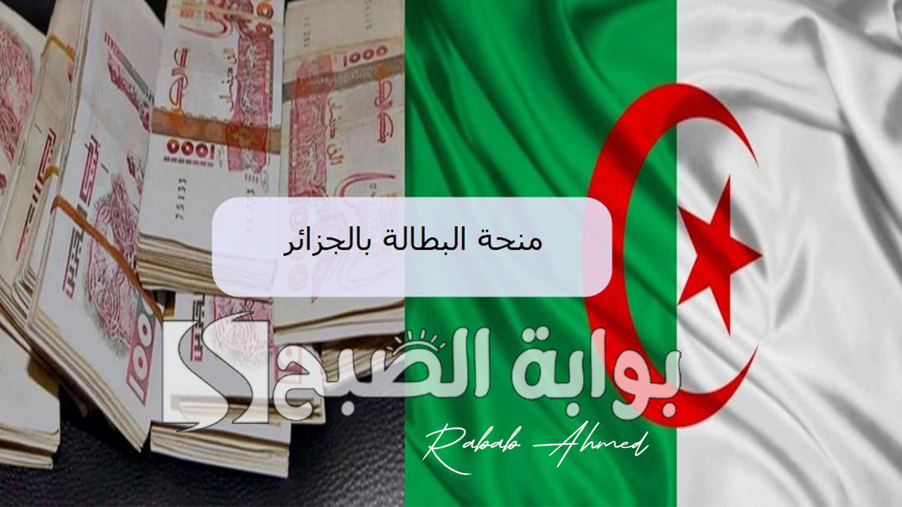 من هنا.. كيفية التسجيل في منحة البطالة 2024 الجزائر وأهم الشروط المطلوبة