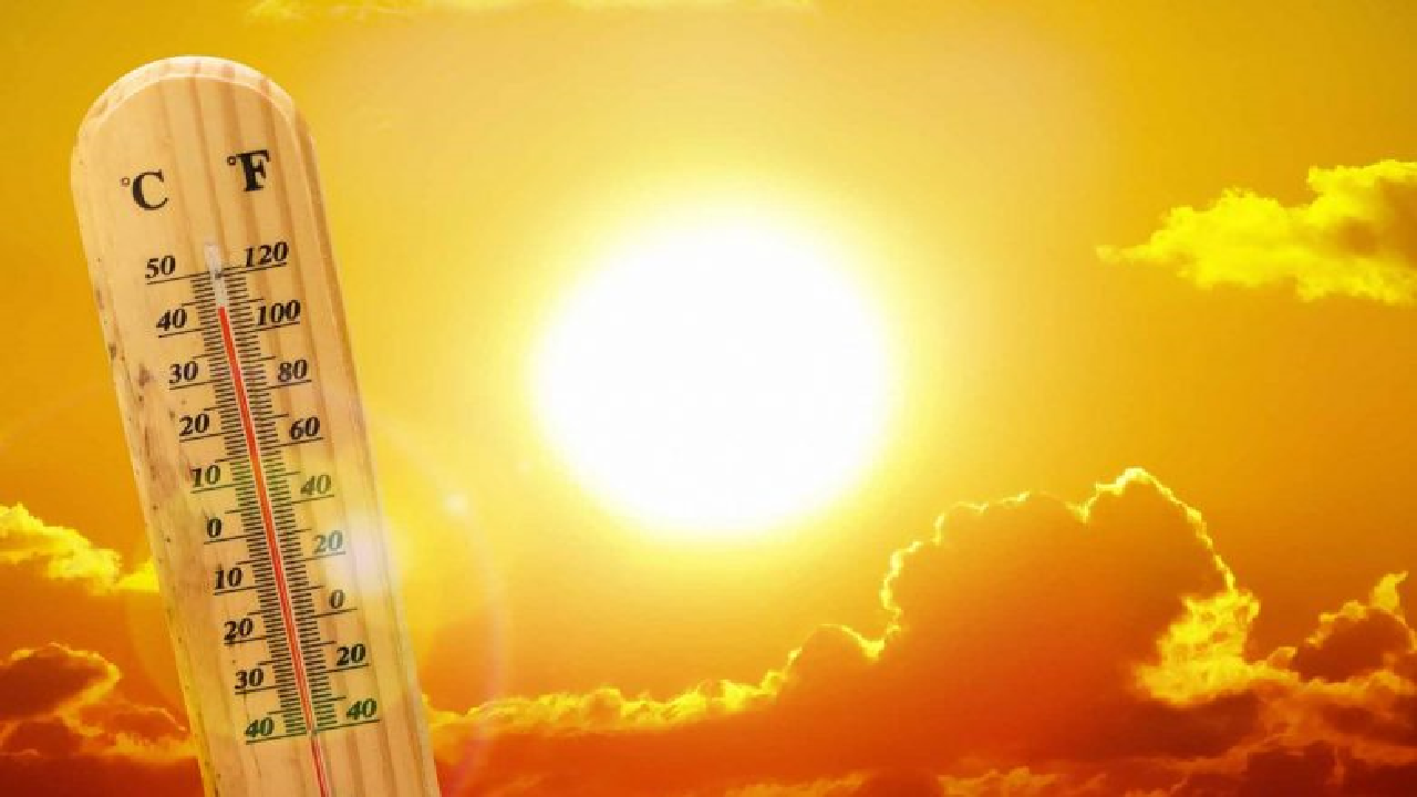 عاجل الأرصاد الجوية بالجزائر تنشر بيان هام بشان انتهاء موجة الحر القوية التي تتعرض لها البلاد وتصدر تعليمات هامة