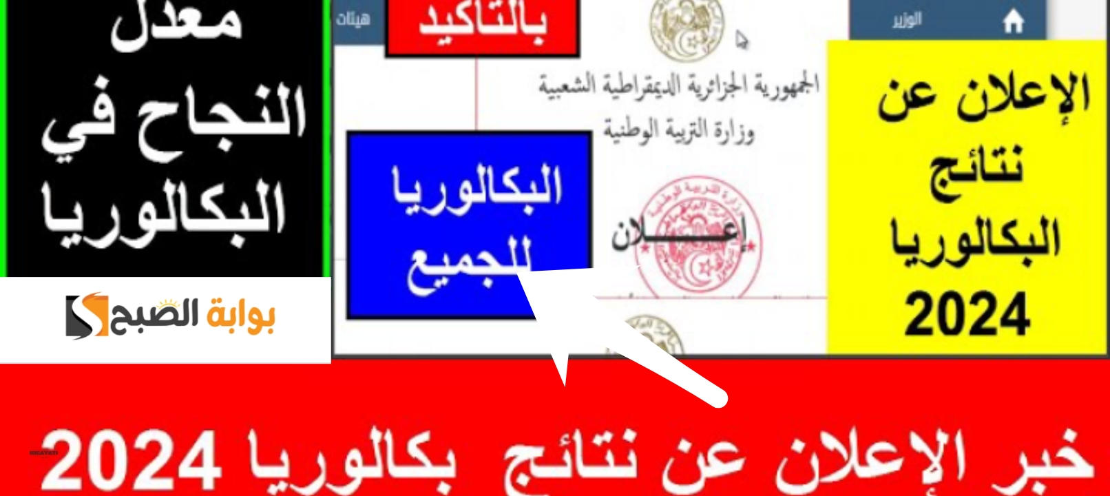 رابط نتائج البكالوريا الجزائر وهران قسنطينة 2024 وجميع الولايات برابط مباشر ومفعل