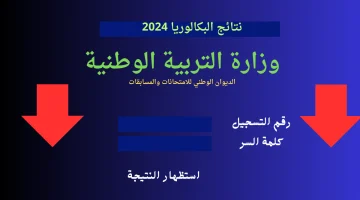 نتائج البكالوريا 2024 بالجزائر 1