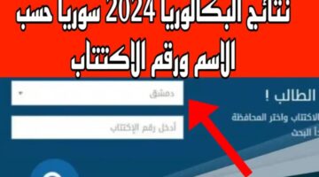 نتائج البكالوريا 2024 جميع محافظات سوريا
