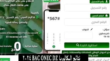 نتائج البكالوريا bac onec dz 2024