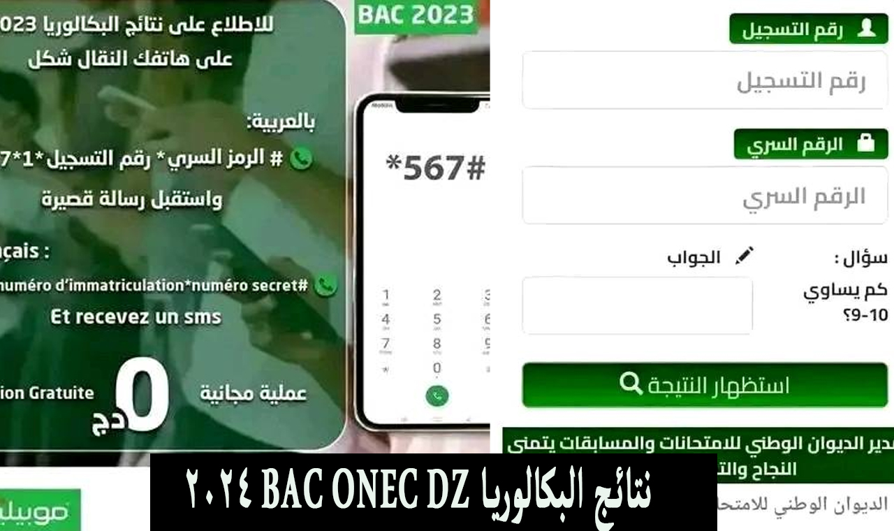 “نتائج الباك” رابط نتائج شهادة البكالوريا دورة جوان 2024 bac onec dz وزارة التربية الوطنية