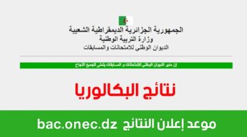 نتائج البكالوريا الجزائر 2024 15