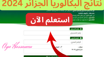 نتائج البكالوريا الجزائر 2024 1