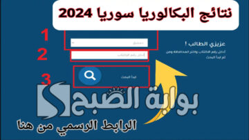 “رابط فعال”.. كيفية الاستعلام عن نتائج البكالوريا سوريا 2024 وموعد ظهور النتيجة