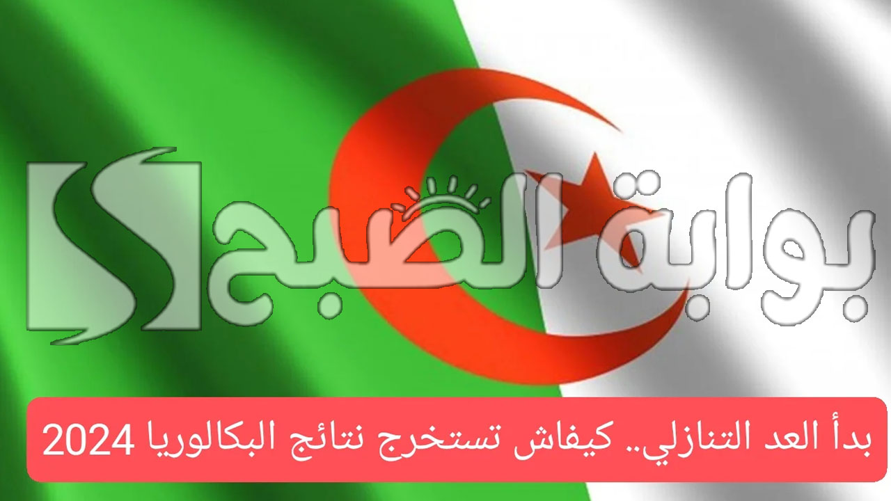 أيام قليلة.. رابط الاستعلام عن نتائج البكالوريا في الجزائر 2024 bem.onec.dz عبر الديوان الوطني