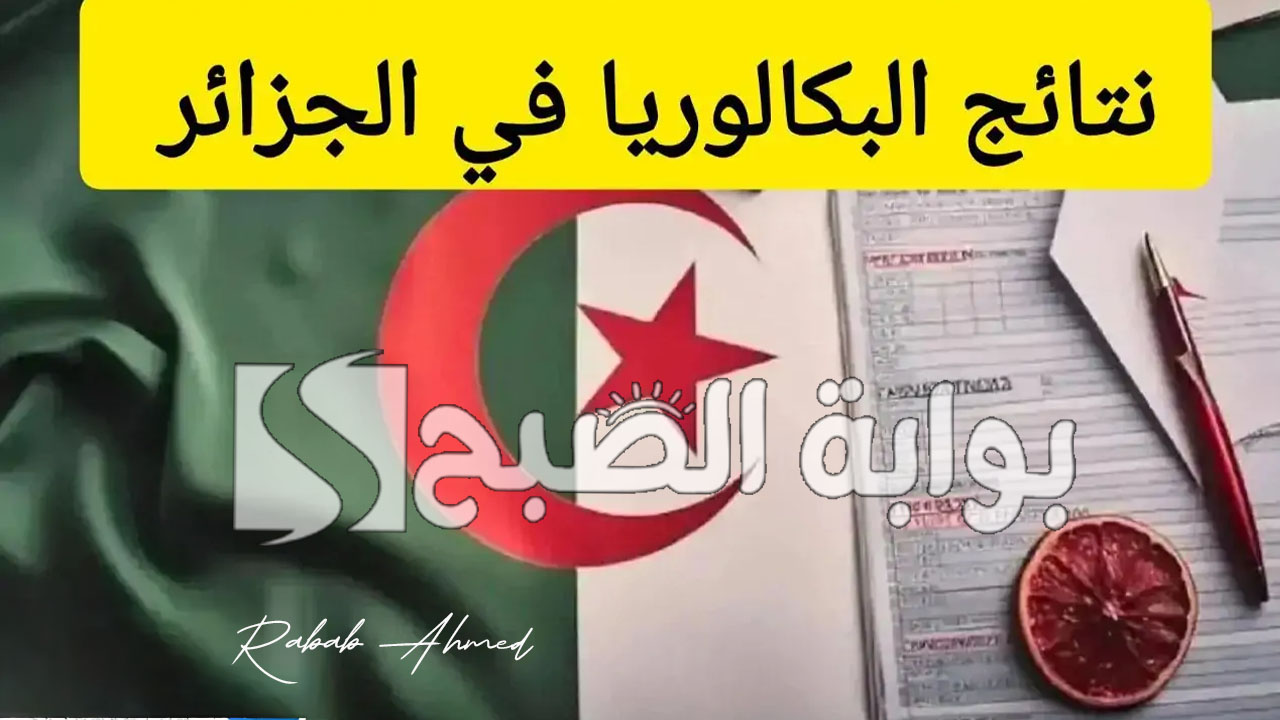 “مبروك النجاح”.. ظهور نتائج البكالوريا في الجزائر 2024 عبر الديوان الوطني