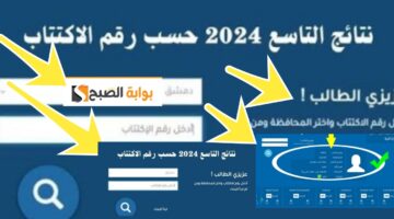 نتائج التاسع سوريا 2024 رسميا