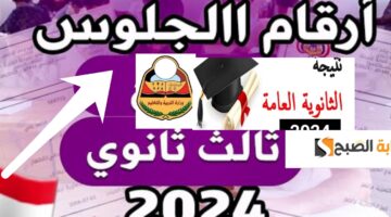 نتائج الثالث الثانوي 2024 اليمن