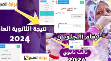 نتائج الثانوية العامة اليمنية 2024