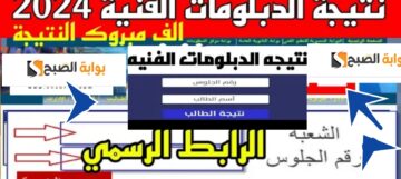 عاجل| نتيجة الدبلومات الفنية 2024 بنسبة نجاح 70.9% تجاري وصناعي وفندقي وزراعي
