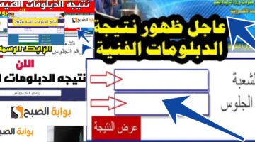 نتائج الدبلومات الفنية زراعي صناعي 2024