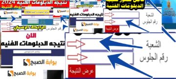 رسمياً تفعيل رابط نتيجة الدبلومات الفنية 2024 واعتماد نسبة النجاح 70.9%