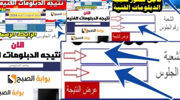 نتائج الدبلومات الفنية لنظام 3 سنوات