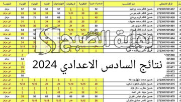 “رابط مباشر”.. الاستعلام عن نتائج السادس الإعدادي العراق 2024 عبر موقع الوزارة ونتائجنا