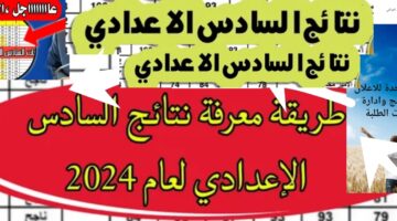نتائج السادس الاعدادي