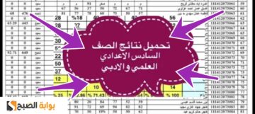 الآن..رابط نتائج السادس الإعدادي العراق 2024 البصرة وكركوك وديالي ونينوى وجميع المحافظات