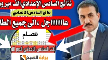 نتائج السادس الاعدادي العراق 2024 4