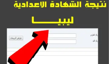 استعلم الآن برقم الجلوس .. رابط موقع الوزارة nec.gov.ly نتائج الصف التاسع 2024 ليبيا بجميع المحافظات
