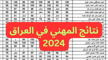 نتائج المهني