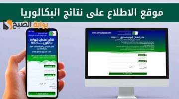 نتائج بكالوريا الجزائر كل الشُعب 2024 1
