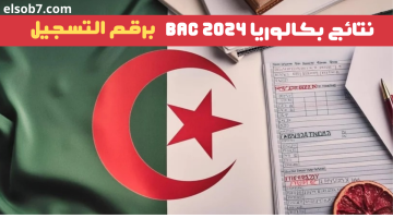 نتائج شهادة البكالوريا 2024 2
