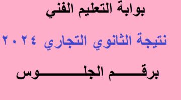 نتيجة الثانوي التجاري 2024 برقم الجلوس