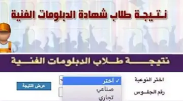 نتيجة الدبلومات