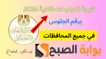 نتيجة الدبلومات الفنية 2024 10