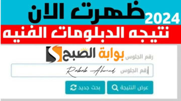 نتيجة الدبلومات الفنية 2024 8