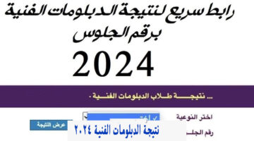 نتيجة الدبلومات الفنية 2024 9