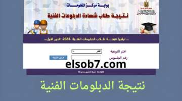 نتيجة الدبلومات الفنية 2024 برقم الجلوس