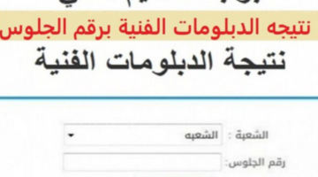 نتيجة الدبلومات الفنية 2024 دور اول 800x600 1