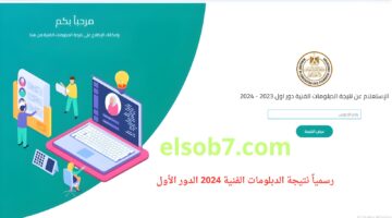 نتيجة الدبلومات الفنية 3
